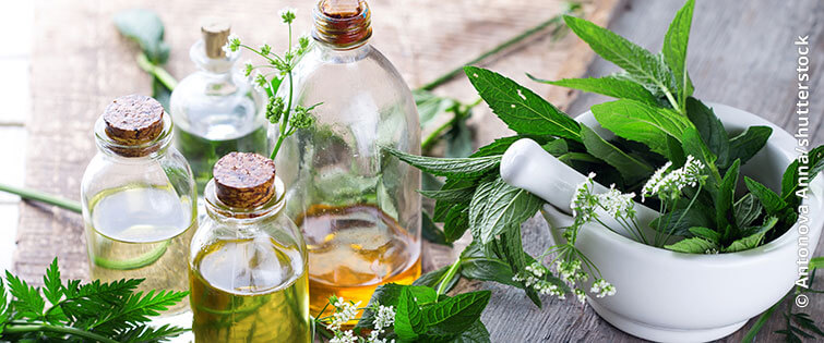 Schwerpunkt Phytotherapie  
